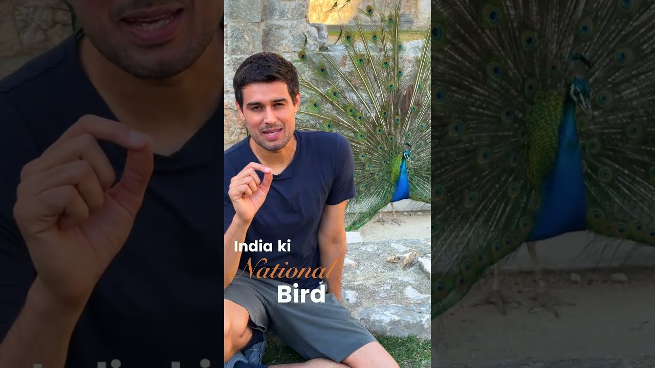 India's national bird