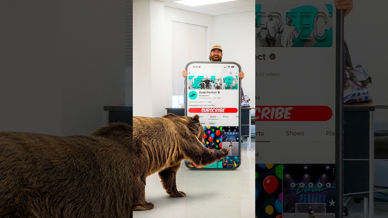 bear subscribe short