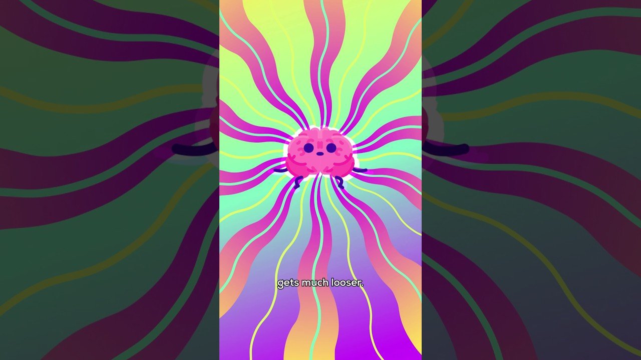 brain on magic mushrooms